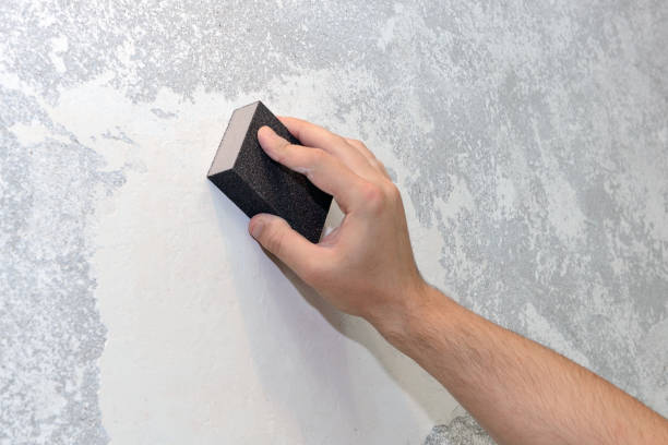 Best Comprehensive Air Testing for Mold Contaminants  in Nocona, TX