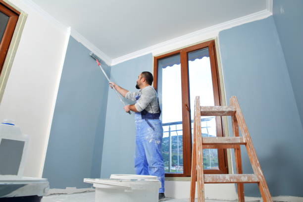 Best Mold Removal for HVAC Installations  in Nocona, TX