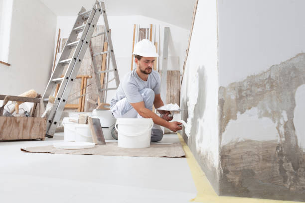 Professional Mold Removal in Nocona, TX