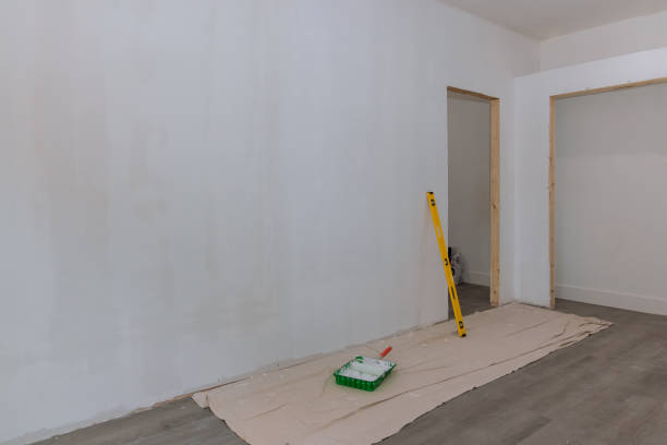 Best Post-Construction Mold Inspection  in Nocona, TX